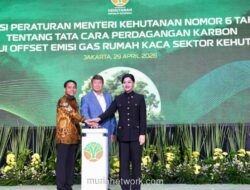 Pemerintah Resmi Luncurkan Permenhut Nomor 6 Tahun 2026 untuk Percepat Perdagangan Karbon Nasional