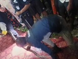 King Kobra Sepanjang 3 Meter Gegerkan Warga Kuningan, Petugas Damkar Kewalahan Evakuasi