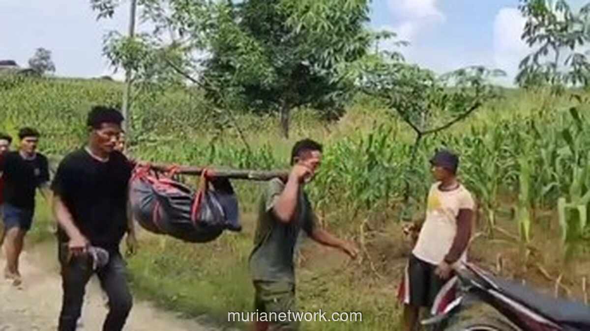 Dua Anak Tenggelam di Sungai Comal Usai Bantu Bersihkan Jeroan Kurban
