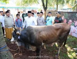 Pasokan Hewan Kurban Nasional Surplus 800 Ribu Ekor, Wamentan: Indikasi Ketahanan Pangan Baik