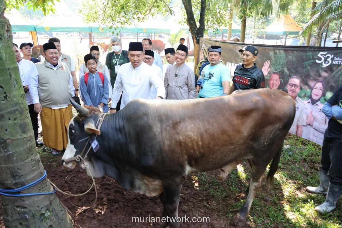 Pasokan Hewan Kurban Nasional Surplus 800 Ribu Ekor, Wamentan: Indikasi Ketahanan Pangan Baik