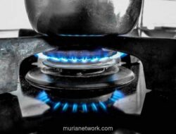 Beban Subsidi Energi Tembus Rp313 Triliun, Pemerintah Dorong Konversi ke Gas Bumi