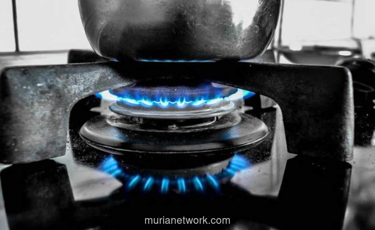 Beban Subsidi Energi Tembus Rp313 Triliun, Pemerintah Dorong Konversi ke Gas Bumi