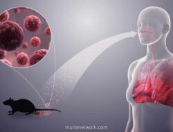 Gejala Mirip Flu, Virus Hanta Berisiko Fatal Jika Menyerang Paru-Paru