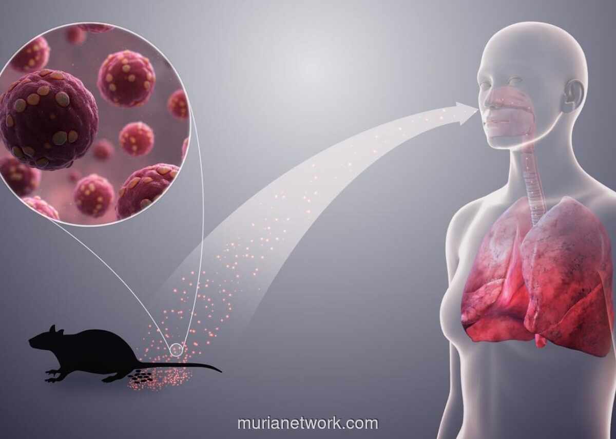 Gejala Mirip Flu, Virus Hanta Berisiko Fatal Jika Menyerang Paru-Paru