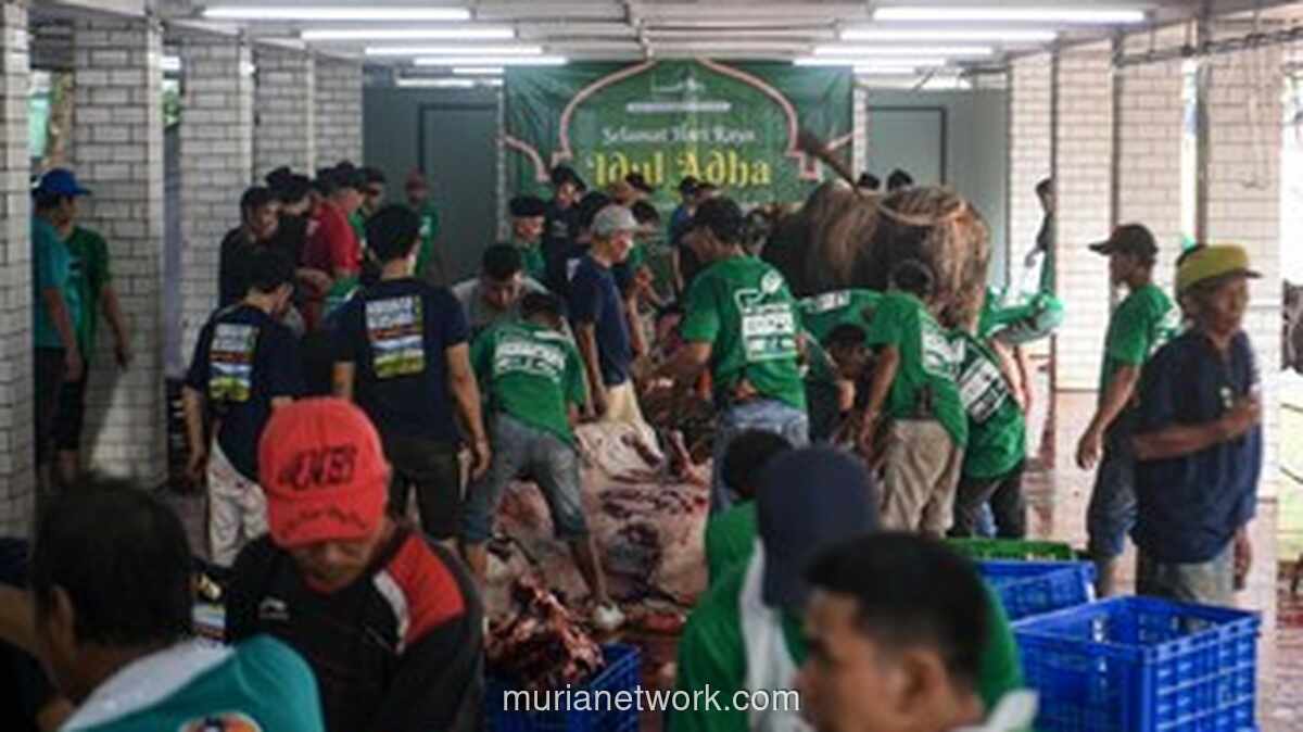 Masjid Istiqlal Salurkan 10 Ton Daging Kurban Lewat Lembaga, Hindari Pembagian Langsung ke Individu