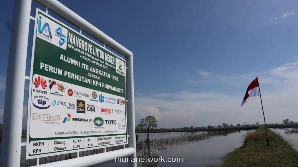 J Trust Bank Salurkan Dana Nasabah untuk Konservasi Mangrove dan Penyu Lewat Tabungan Hijau