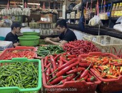 Harga Pangan Melonjak Jelang Iduladha, Cabai Merah Naik 65 Persen