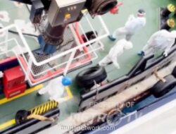 Kapal Pesiar Belanda Terisolasi di Tanjung Verde Akibat Wabah Hantavirus, Tiga Tewas