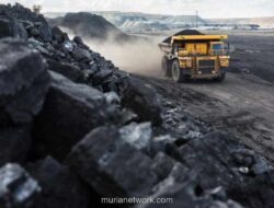 Kapasitas Batu Bara Global Naik 3,5 Persen pada 2025, China dan India Jadi Motor Utama