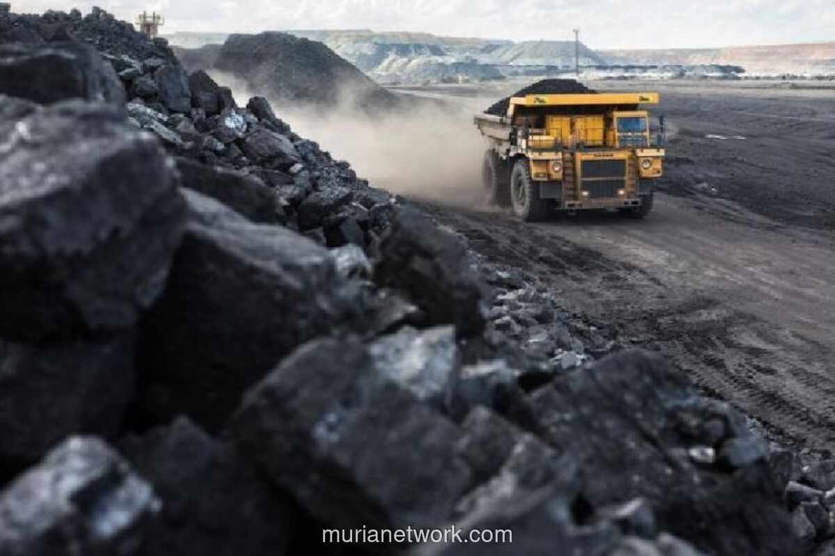 Kapasitas Batu Bara Global Naik 3,5 Persen pada 2025, China dan India Jadi Motor Utama