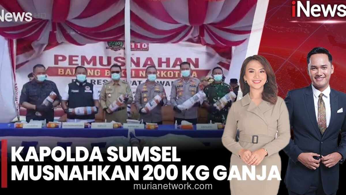 Polda Sumsel Musnahkan 200 Kg Ganja dari Ladang 20 Hektare di Empat Lawang