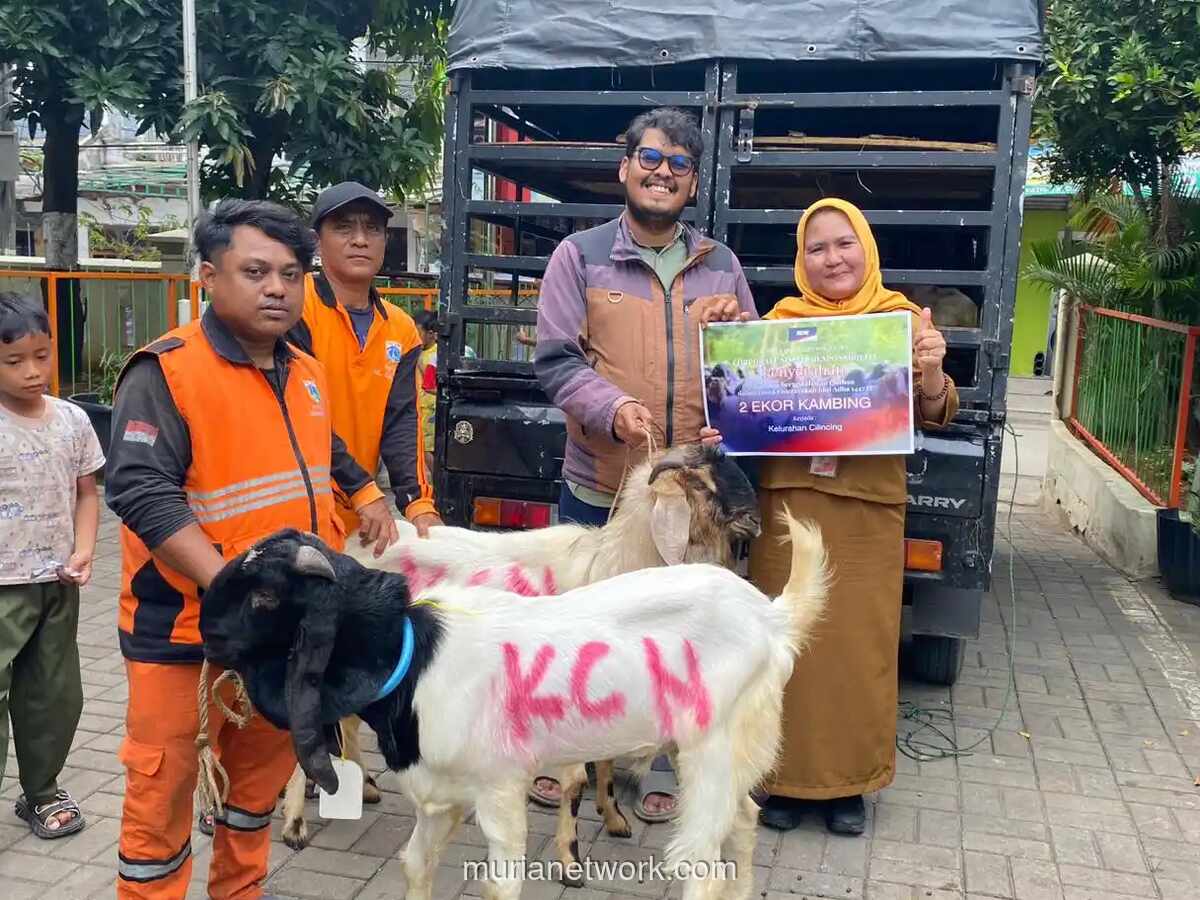 PT KCN Salurkan 33 Ekor Hewan Kurban ke Masyarakat Cilincing dan Marunda Sambut Iduladha