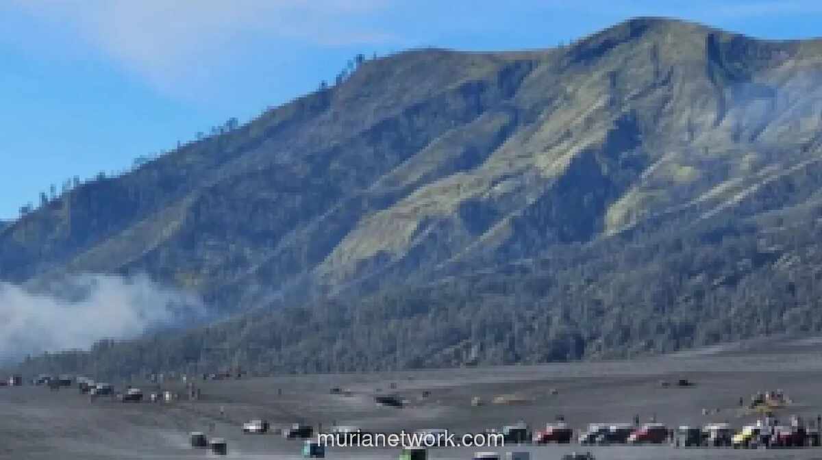 BB TNBTS Evaluasi Sistem Keamanan Transportasi Wisata Bromo Usai Kecelakaan Jip Tewaskan Dua Orang