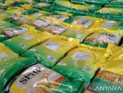 Kementan Pastikan Stok Beras Aman Hadapi El Nino, Capai 28 Juta Ton