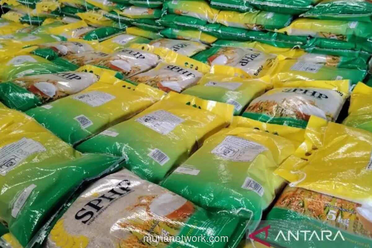 Kementan Pastikan Stok Beras Aman Hadapi El Nino, Capai 28 Juta Ton