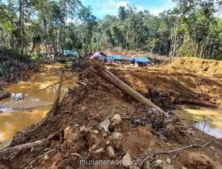 Kementerian ESDM Selidiki Dugaan Tambang Emas Ilegal Rp200 Miliar di Sangihe yang Libatkan WNA China
