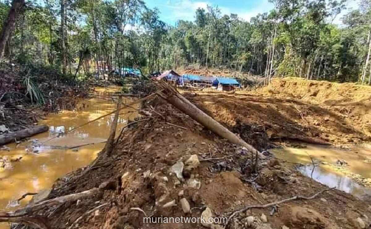 Kementerian ESDM Selidiki Dugaan Tambang Emas Ilegal Rp200 Miliar di Sangihe yang Libatkan WNA China