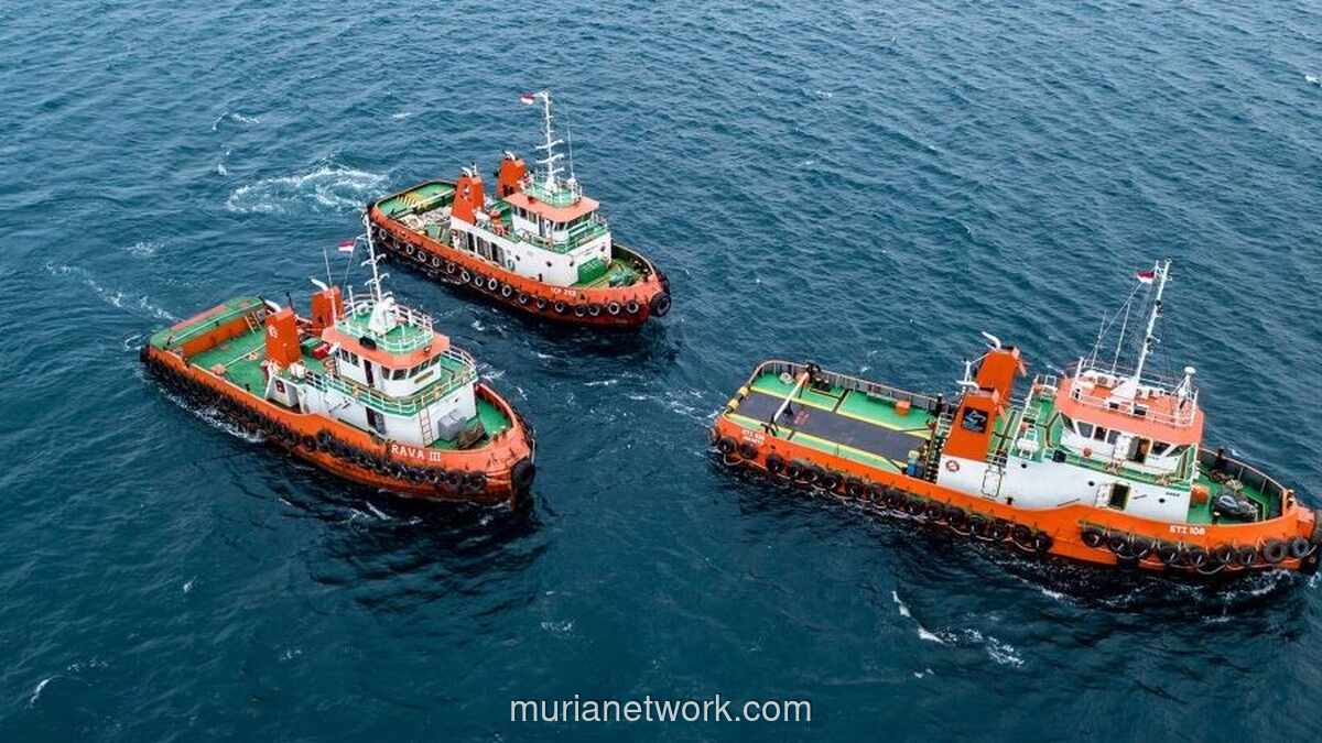 BEI Masukkan Saham Transcoal Pacific ke Kategori Kepemilikan Terkonsentrasi Tinggi