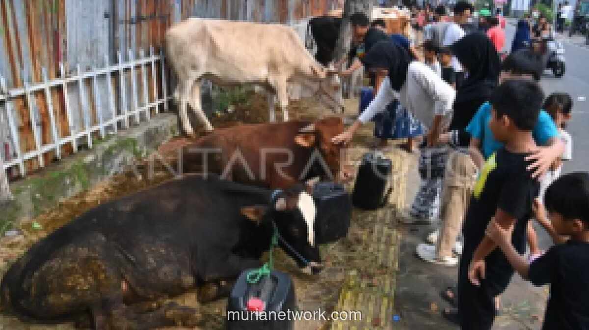 DKI Jakarta Perketat Pengawasan Lapak Hewan Kurban Jelang Iduladha 2026
