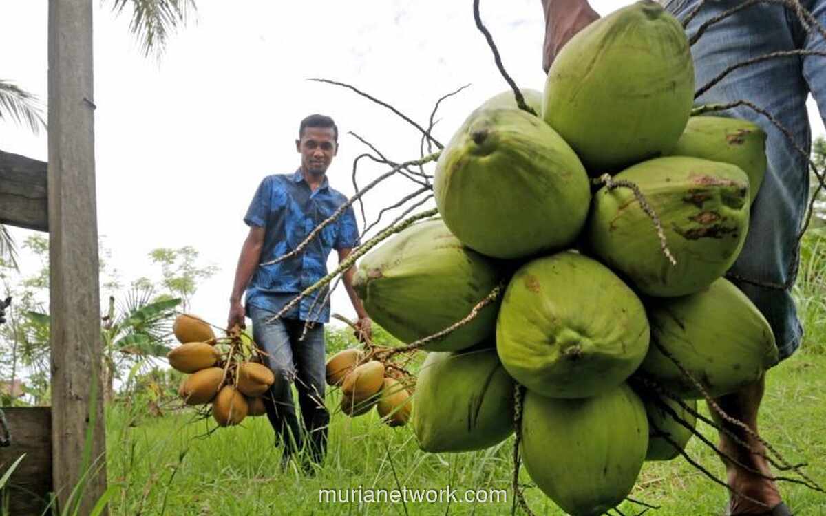 Ekspor Minyak Kelapa Indonesia 2025: Nilai Melonjak 43% Meski Volume Turun, Pangsa Pasar Global Kokoh di Peringkat Kedua