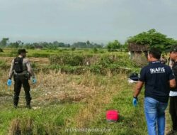 Ledakan Petasan di Balon Udara Blitar Tewaskan Pemuda, Lukai Dua Anak