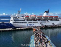 Penjualan Tiket Pelni Tembus 39.797 Selama Libur Iduladha, Bau-Bau dan Makassar Jadi Rute Favorit