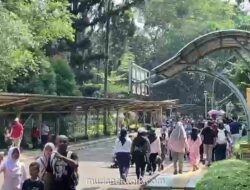 Libur Panjang Akhir Pekan, Ribuan Pengunjung Padati Kebun Binatang Ragunan Sejak Pagi