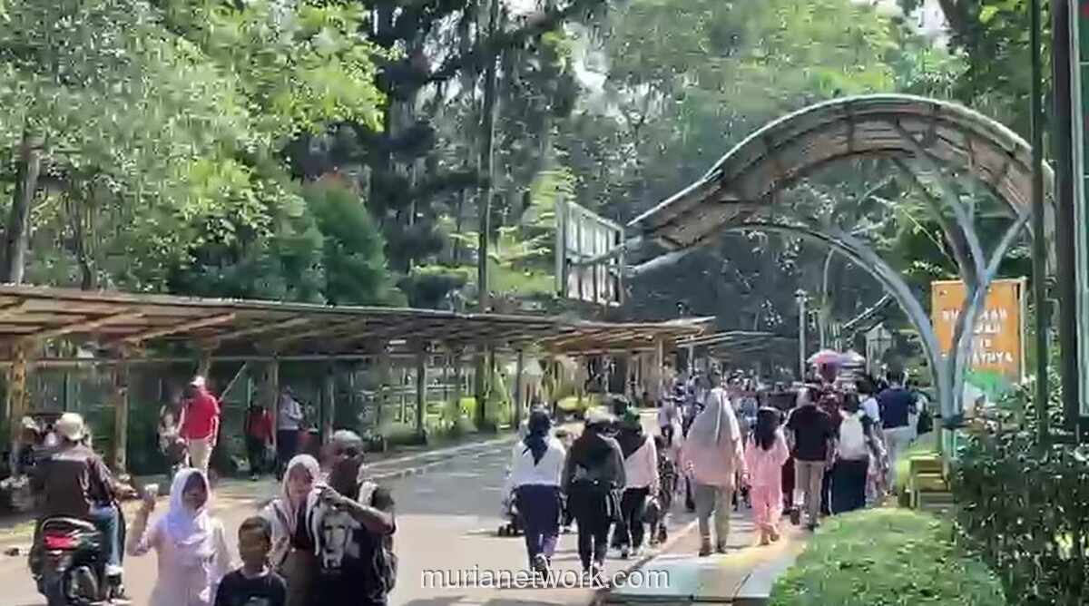 Libur Panjang Akhir Pekan, Ribuan Pengunjung Padati Kebun Binatang Ragunan Sejak Pagi