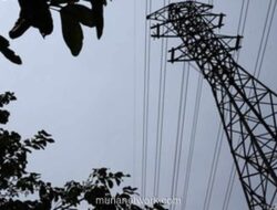 Pemadaman Listrik Meluas di Sumatera Akibat Cuaca Ekstrem, PLN Pulihkan 173 dari 540 Penyulang