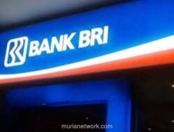 BRI Buka Rekrutmen BFLP Specialist 2026 Wave 2, Tawarkan Enam Jalur Spesialisasi bagi Lulusan S-1 dan S-2
