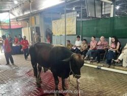 Masjid Raya Pondok Indah Terima 45 Ekor Hewan Kurban, Mulan Jameela Jadi Salah Satu Pengkurban