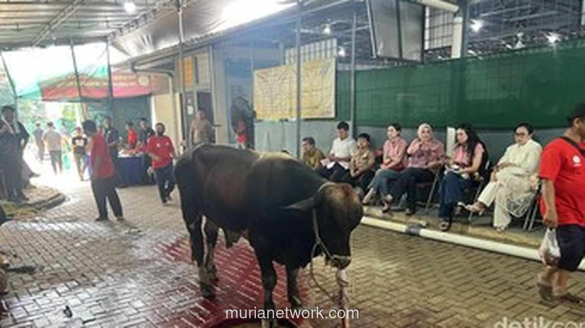 Masjid Raya Pondok Indah Terima 45 Ekor Hewan Kurban, Mulan Jameela Jadi Salah Satu Pengkurban