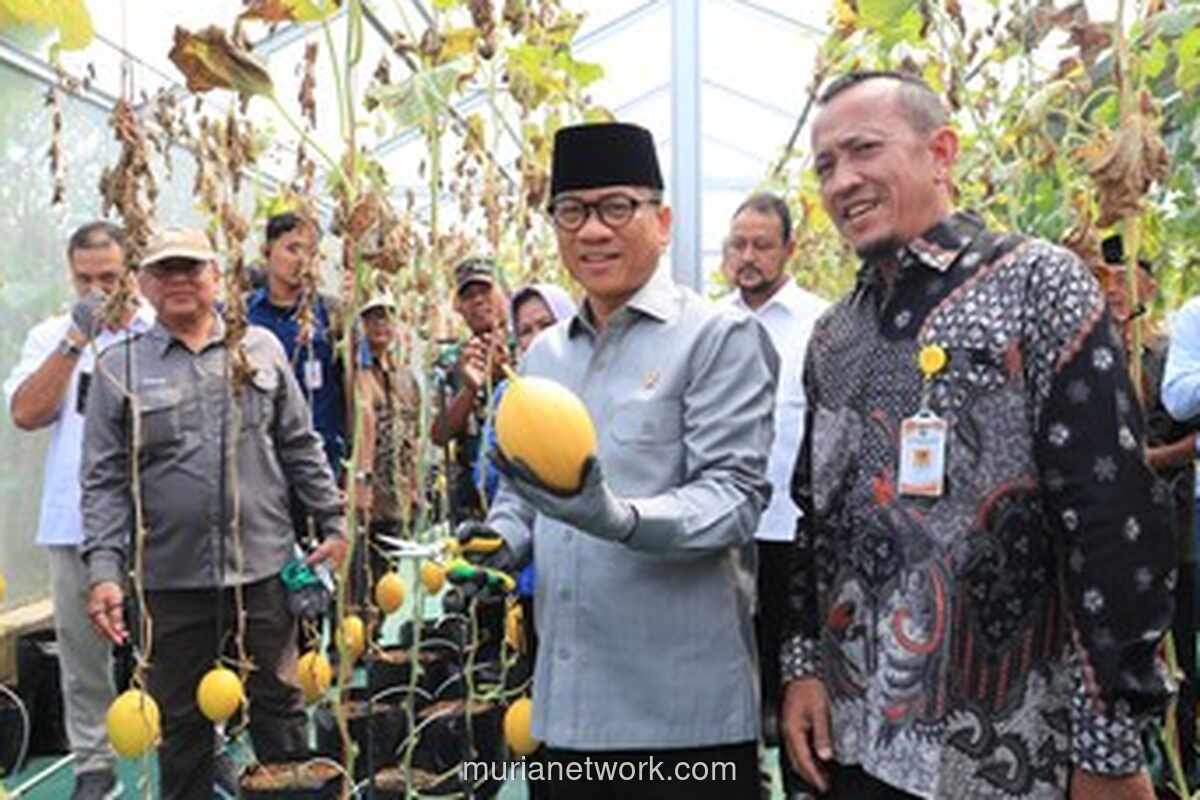 Menteri Desa Apresiasi Desa Tuntang Jadi Contoh Pengelolaan Dana Desa Lewat Budidaya Lele, Melon, dan Kambing