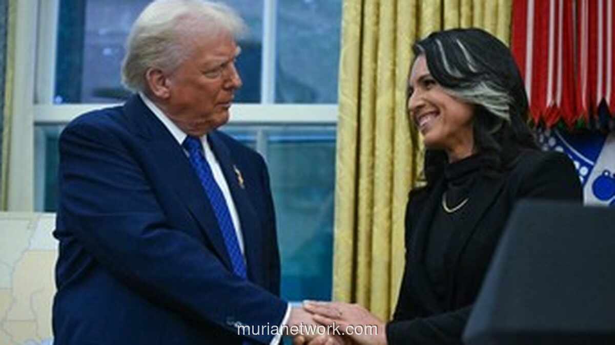Kepala Intelijen AS Tulsi Gabbard Mundur demi Rawat Suami yang Derita Kanker Tulang