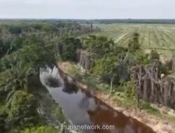 PT Musim Mas Hormati Proses Hukum Usai Ditetapkan Tersangka Korporasi Kasus Perusakan Lingkungan di Riau