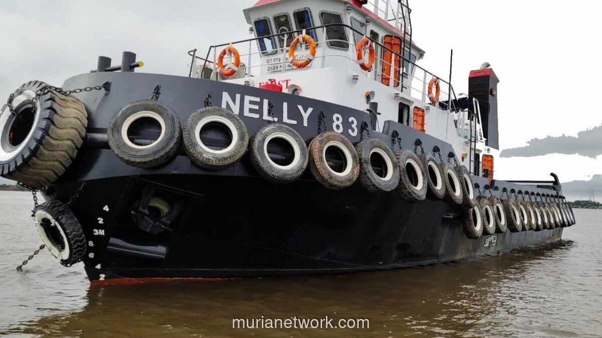 PT Pelayaran Nelly Bagikan Dividen Rp23,5 Miliar, Rp10 per Saham