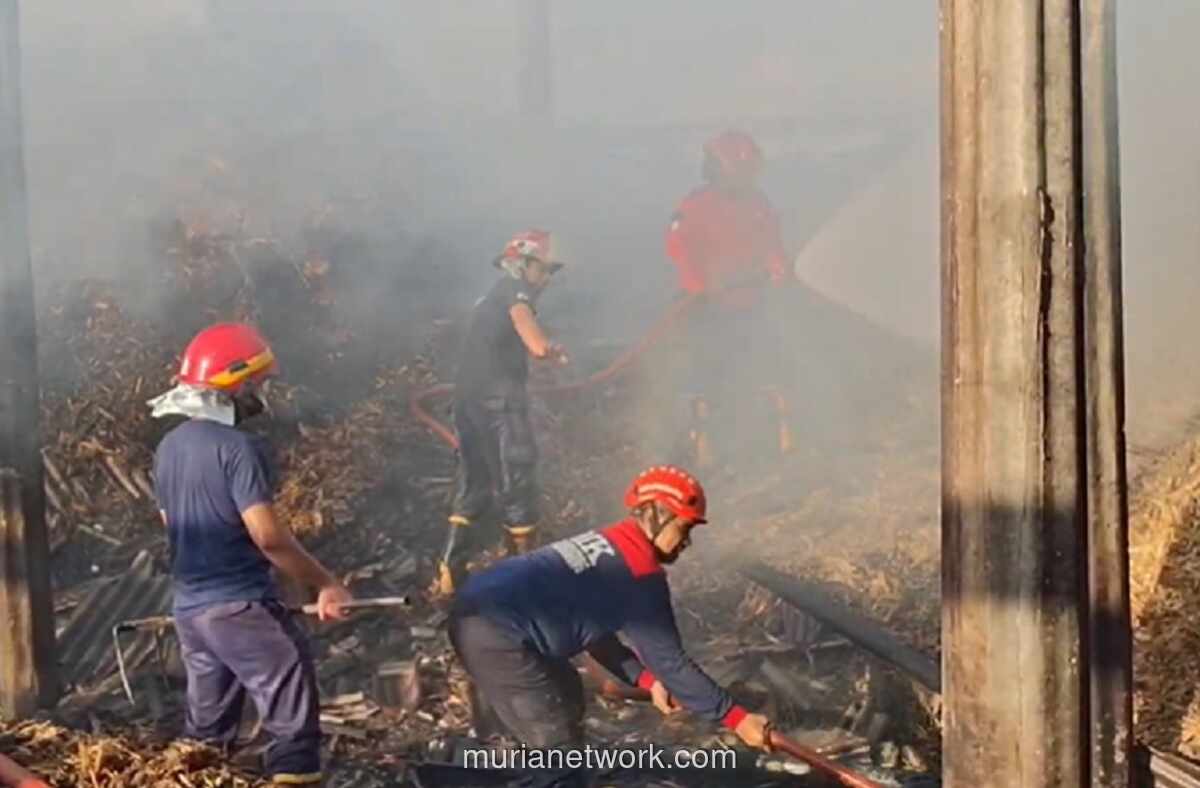 Pabrik Gula Tradisional di Tulungagung Ludes Terbakar, Kerugian Capai Rp200 Juta