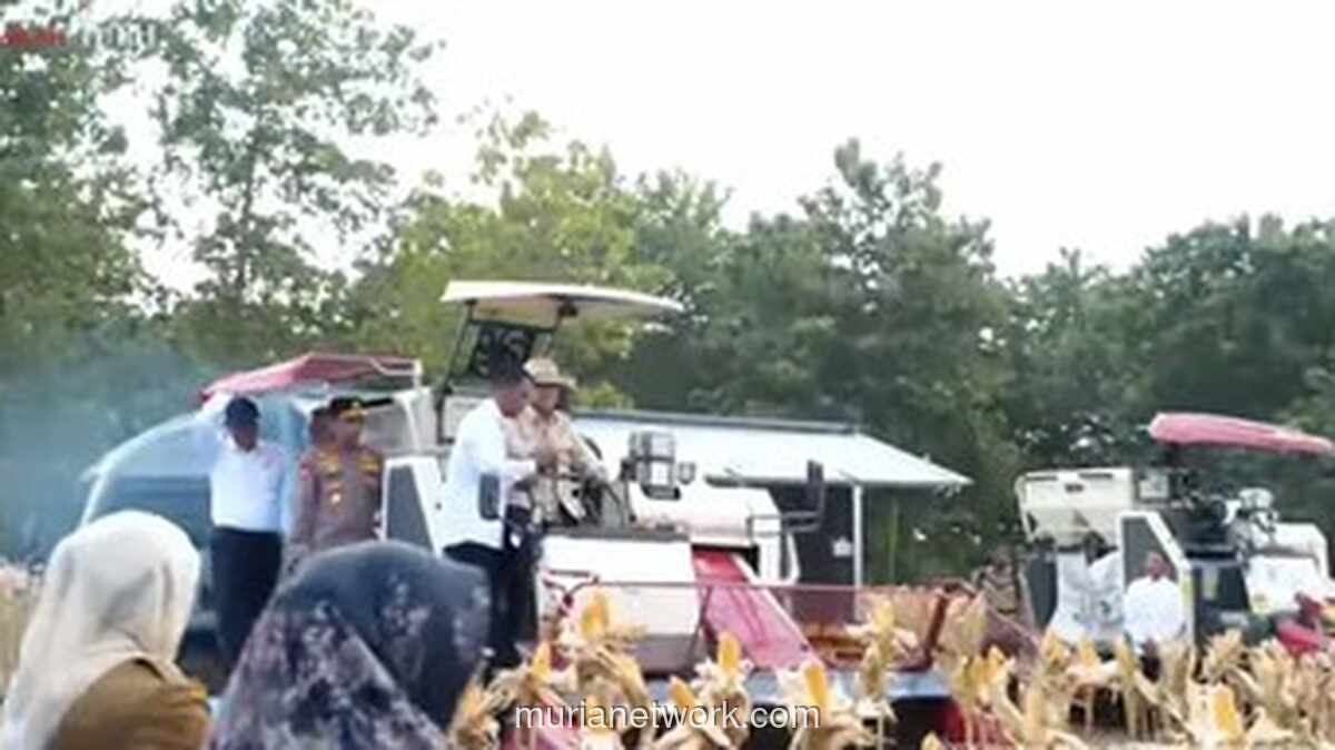 Presiden Prabowo Pimpin Panen Raya Jagung Serentak Polri di Tuban, Target Perkuat Swasembada Pangan