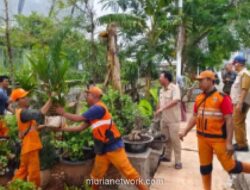 Penertiban Pedagang Tanaman Hias di Danau Bisma Jakarta Utara, Pemerintah Fasilitasi Relokasi ke Kemayoran