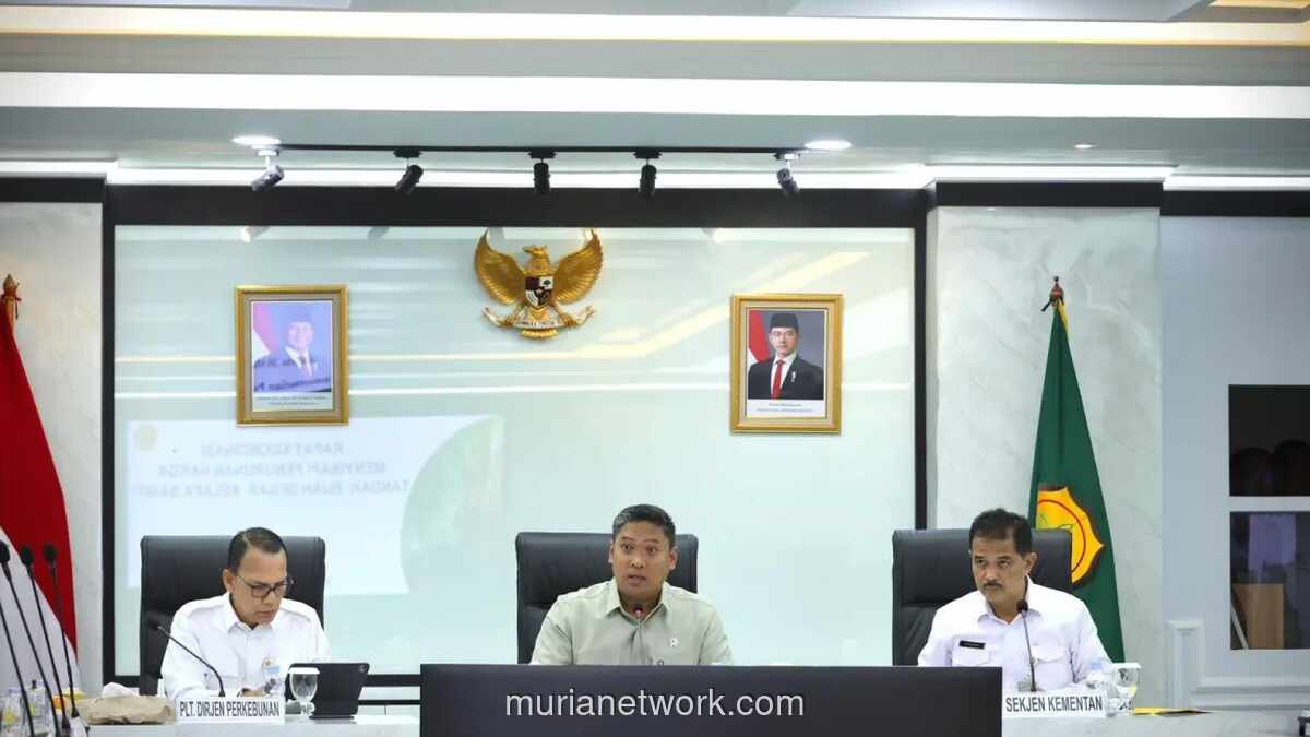 Pemerintah Respons Anjloknya Harga TBS Sawit, Buka Masa Transisi Kebijakan Ekspor Satu Pintu hingga Agustus 2026