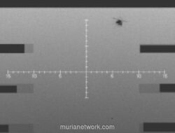 Pentagon Rilis 162 Dokumen UFO untuk Publik, Trump Klaim Wujudkan Transparansi Penuh