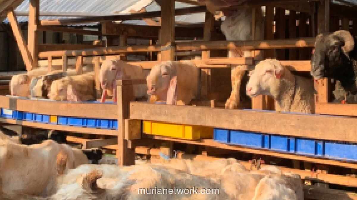 Pemprov DKI Wajibkan Pemotongan Hewan Kurban Pisahkan Sampah Organik dan Anorganik