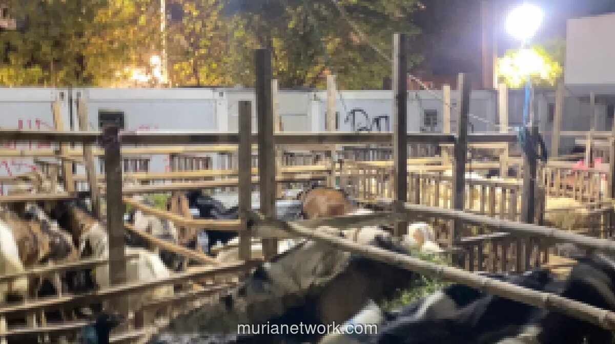 Pemprov DKI Larang Pedagang Hewan Kurban Berjualan di Trotoar dan Fasilitas Umum