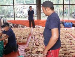 Pemprov DKI Imbau Warga Gunakan Wadah Ramah Lingkungan saat Bagikan Daging Kurban