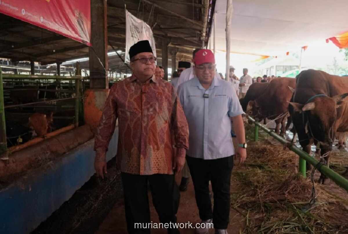 Pemprov DKI Naikkan Jumlah Hewan Kurban Jadi 220 Ekor, 744 Petugas Dikerahkan Awasi Proses