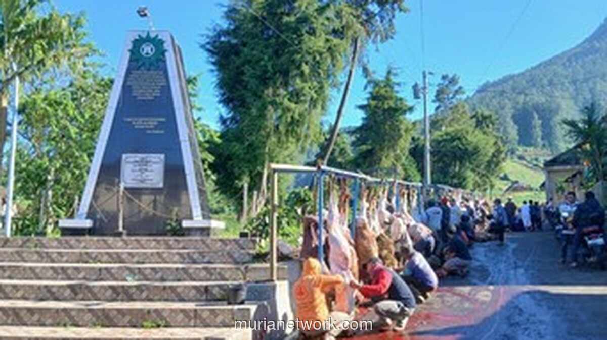 Dusun Krajan Banjarnegara Kurban 52 Sapi dan 339 Kambing, Warga Gotong Royong Jadi RPH Dadakan