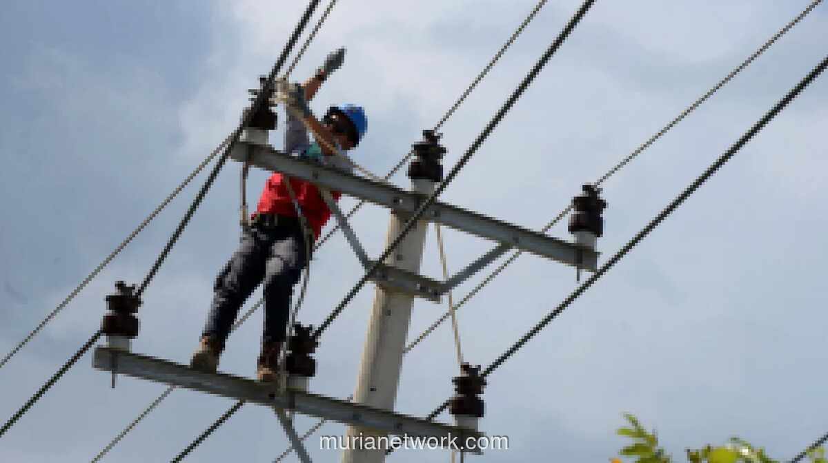 Pengamat: Pemadaman Listrik Sumatra Bukan Hanya Terjadi di Indonesia, Perlu Penguatan Sistem