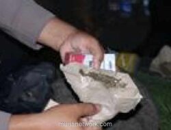 Polisi Gagalkan Peredaran Ganja saat Patroli Libur Idul Adha di Tangerang