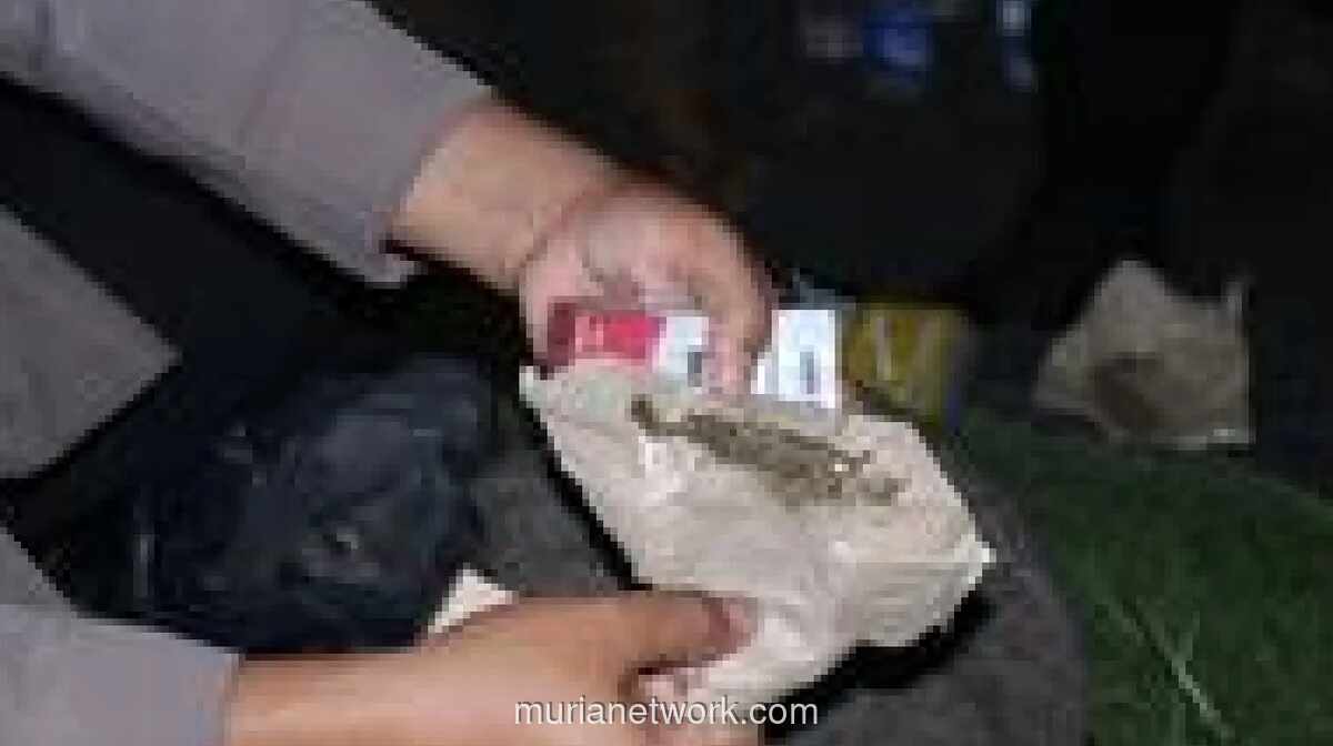 Polisi Gagalkan Peredaran Ganja saat Patroli Libur Idul Adha di Tangerang